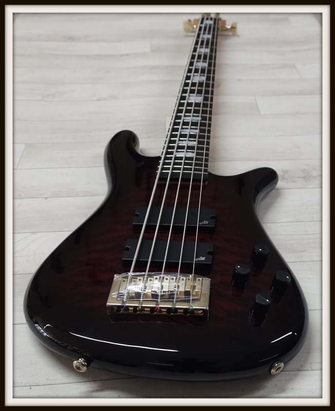 Spector Icon NS-5 Bolt-On, Black Cherry Gloss